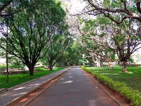 IISc Campus Image 1