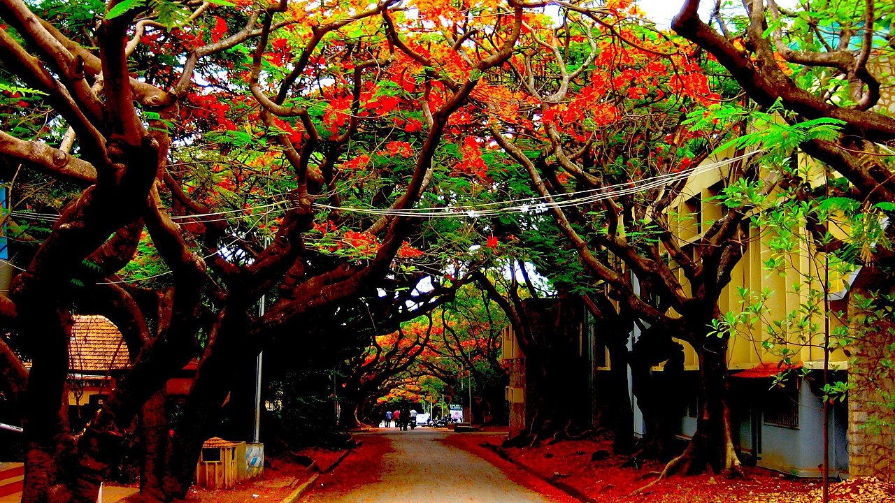 IISc Campus Image 2